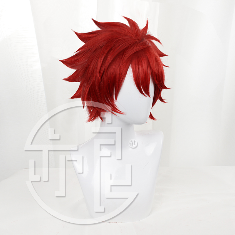 Anime SK8 die Unendlichkeit Re – Anime Cosplay With Red Hair Bewertung und Preis