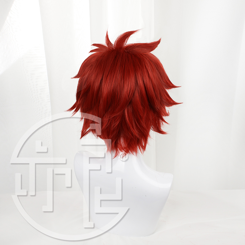 Anime SK8 die Unendlichkeit Re – Anime Cosplay With Red Hair Bewertung und Preis