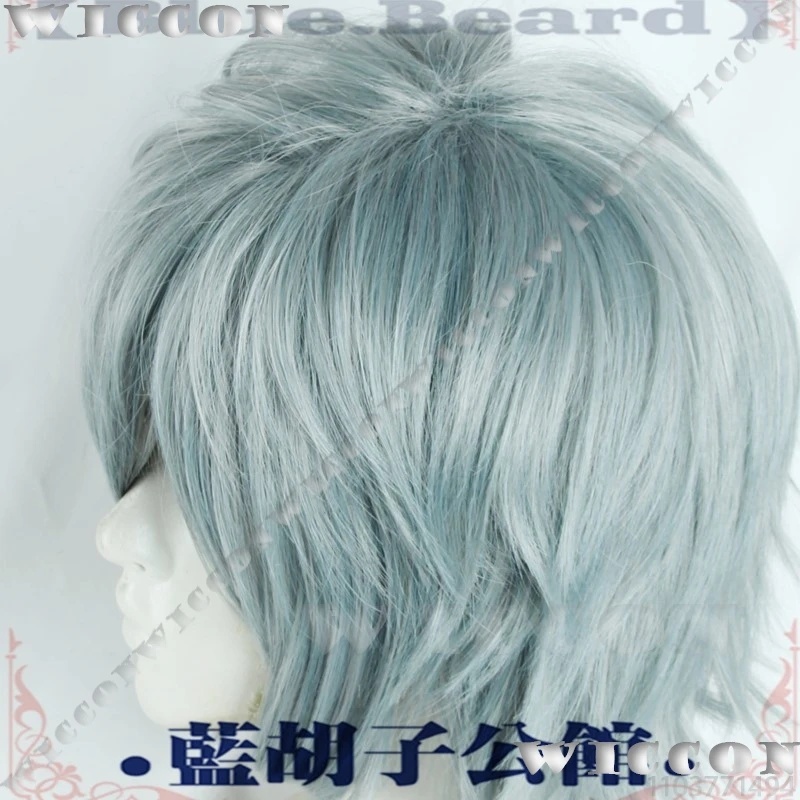 c;4\g,6'h.9/c;4\g,6'h.9/Till A – Anime Cosplay Blue Hair Bewertung und Preis